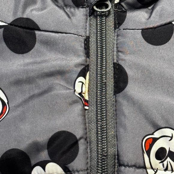 Mickey Mouse Jacket with ears gray in color -3T - Picture 4 of 4